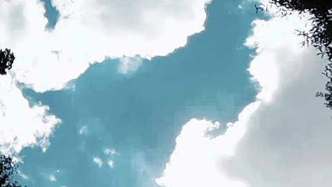 Elon and Sweet William have already covered the sun. Duh.