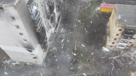 The evacuation group of piggies suffers a deafening fiasco