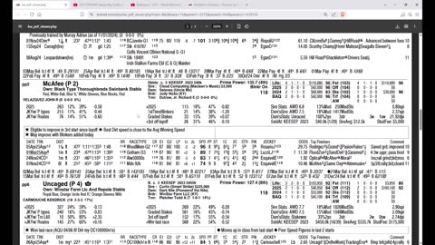 Capping Corner - Peter Pan Stakes 2025 at Aqueduct - Belmont Stakes Prep Race