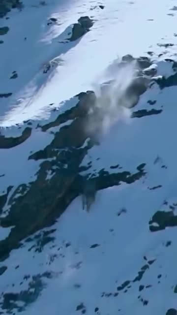 "The Phantom Hunter of the Mountains Strikes! 🐆❄️"