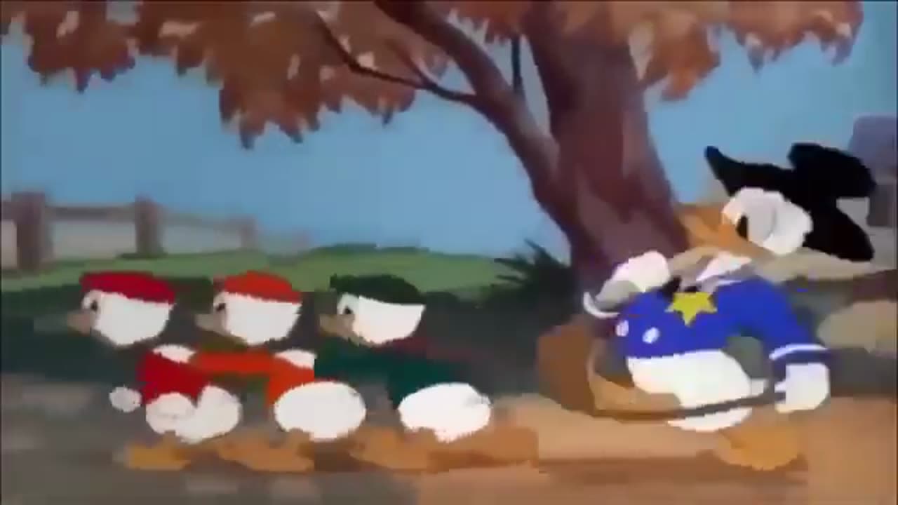 Donald Duck Cartoon