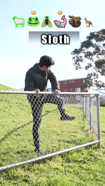 HOW DIFFERENT ANIMALS JUMP FENCES