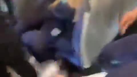 Belfast Muslim girl attacks an Irish girl on bus in Belfast.