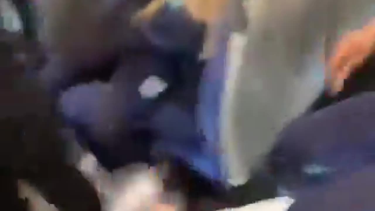 Belfast Muslim girl attacks an Irish girl on bus in Belfast.