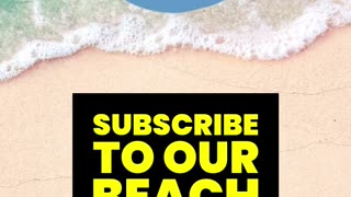 What is the Dividend Yield of a Stock?