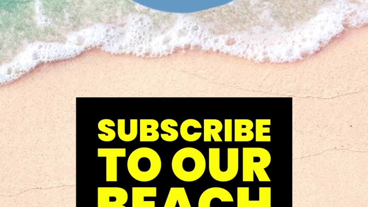 What is the Dividend Yield of a Stock?