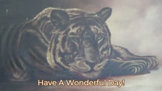 Tiger Painting, Where Have You Seen This?