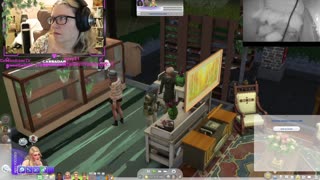 Chicken Live Stream