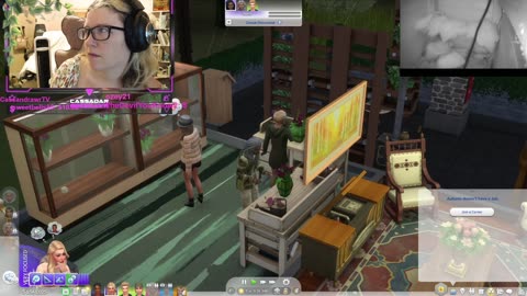 Chicken Live Stream