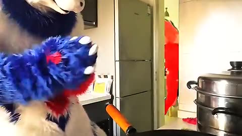 Furry cooks a dish