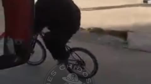 to work with excitement