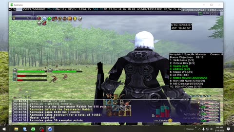 Playing Final Fantasy XI Online