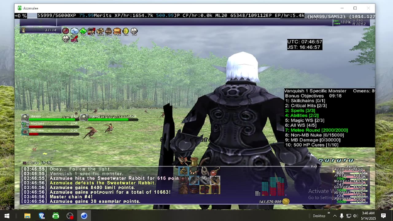 Playing Final Fantasy XI Online