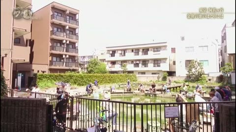 ドキュメント72時間 「東京・阿佐ヶ谷 金魚の池のほとりには」