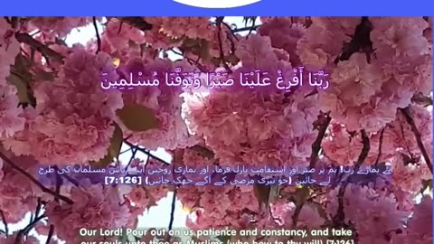 40 Rabbana Duas (Dua no 23)