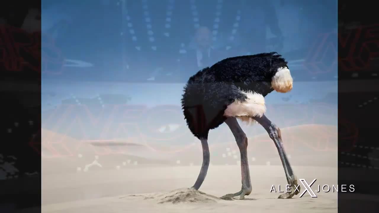 Are You An Amercian Eagle Or A Retarded Ostrich?