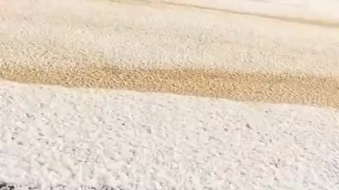 An unusual and rare winter snowfall occurred in parts of Saudi Arabia