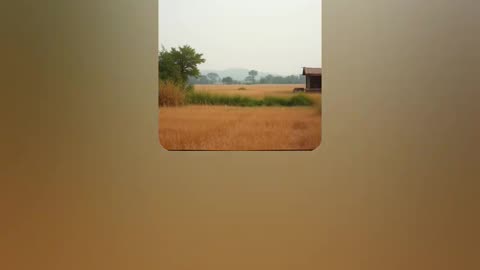 "Content in the Country" by RedSixerFan 10/19/25