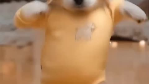 Dancing Puppy Deli 🐶😂 Cute Dog Shows Off Dance Moves