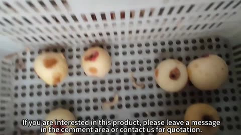 fruit and vegetable peeling machines