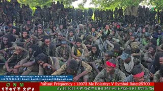 ሰኔ 21-2025 ONM-ABO እለታዊ የኦሮሞ ነፃነት ሰራዊትና የኦሮሚያ ውሎ!