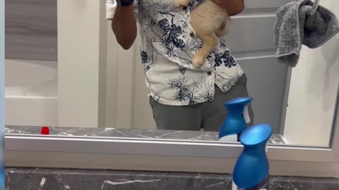 Golden Retriever Grows Up Fast In Selfie Series