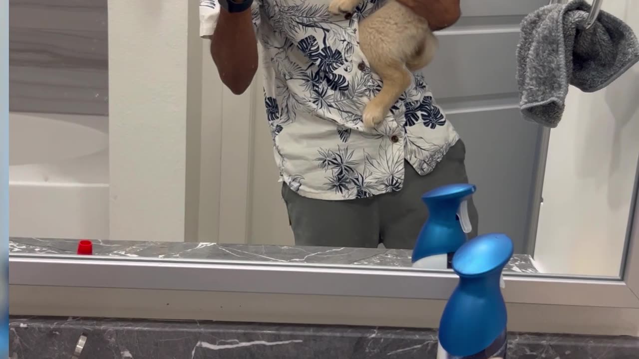Golden Retriever Grows Up Fast In Selfie Series