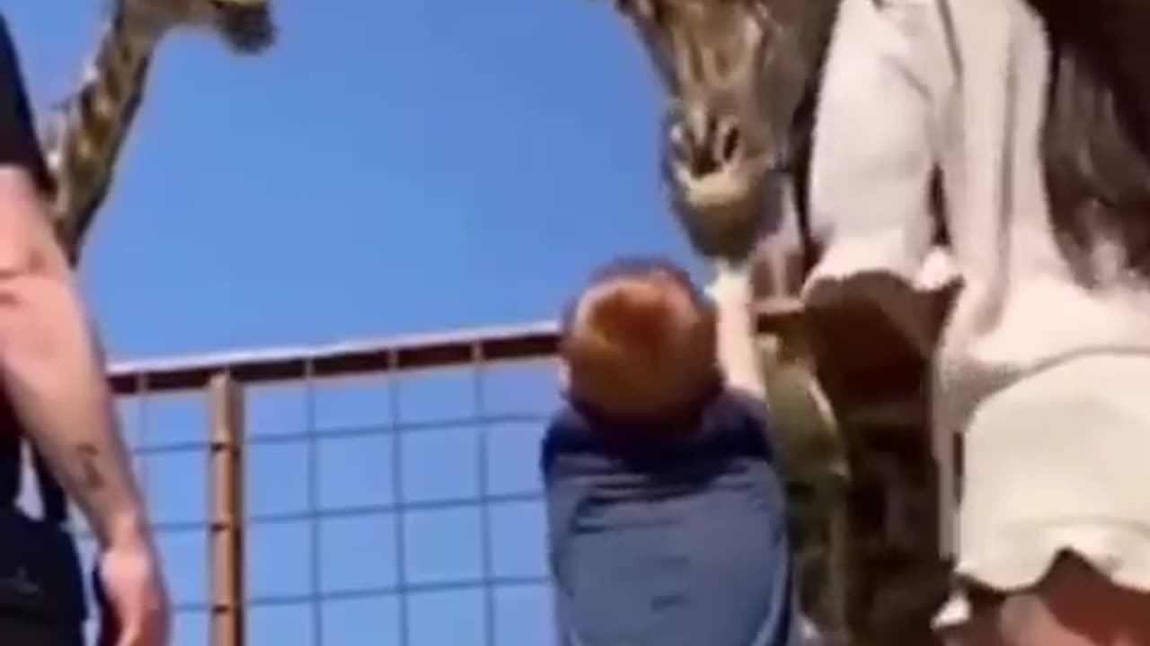 Too Funny to Handle! 😂 | Must-See Animal Moments