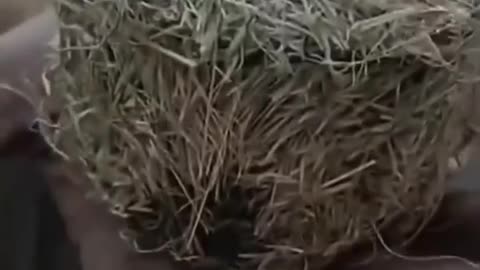 War in ukraine
