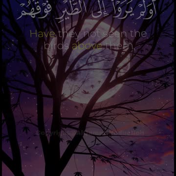 Surah Al-Mulk Ayat 18–20 | Divine Warning & Reflection | Heart-Touching Quran Recitation