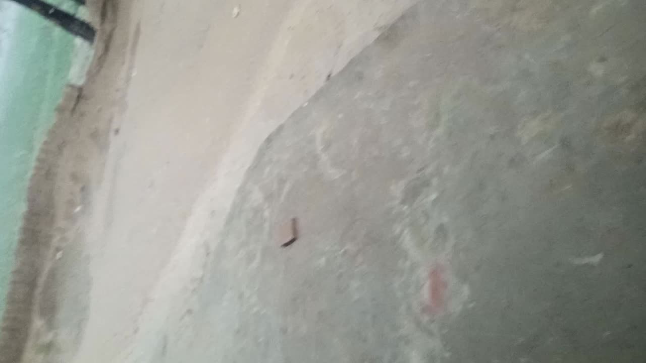 🌧️ | Peaceful Village Life in Rain" یا "گاؤں میں زبردست بارش کا حسین منظر | Raining in Village 🌾☔"
