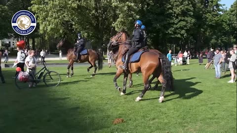 Demonstration for Freedom at Bruxelles on the 29th of May 2021 - OPN live report