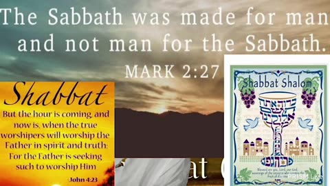 John 19; RSTNE Scripture Reading (Day 191) Bible on Audio; Omer 42