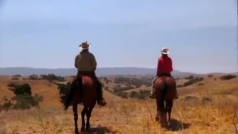 The Last Cowboy