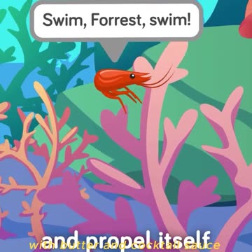 Shrimp’s Heart Is in Its Head?! Here’s Why