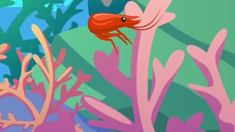 Shrimp’s Heart Is in Its Head?! Here’s Why