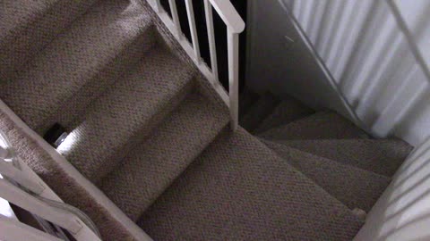 ‎September ‎5, ‎2020, ‏‎1:26:14 AM