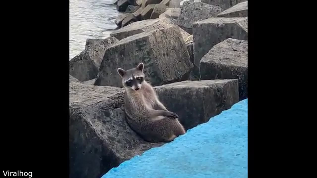 Wrong Place Wrong Time