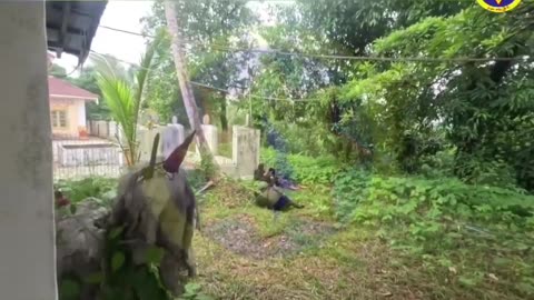 ⚔️🌍 Myanmar War | Dawei Liberation Army Strikes Junta Outpost | RCF