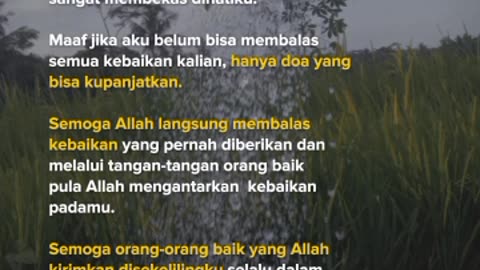 Terbaru