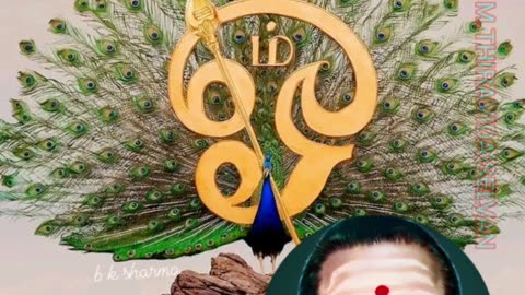 ONE SUN ONE TMS LEGEND M.THIRAVIDA SELVAN SINGAPORE TMS FANS