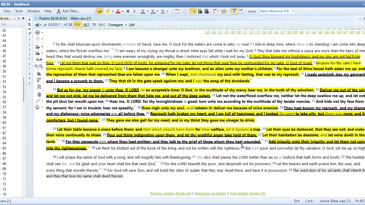 Bible Study Psalms 69