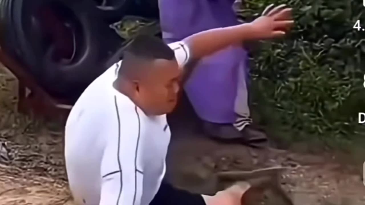 Funny videos wait for end