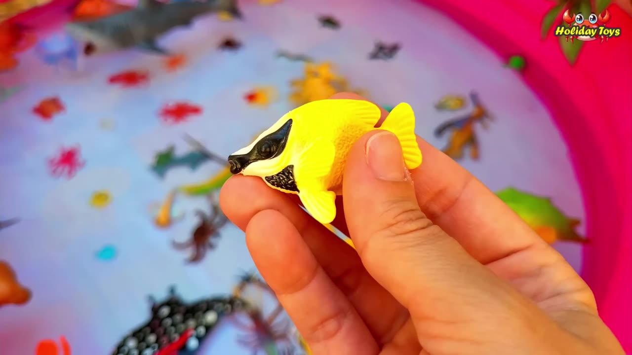 Common Sea Dragons Hide Among the Seaweed to Stay Safe