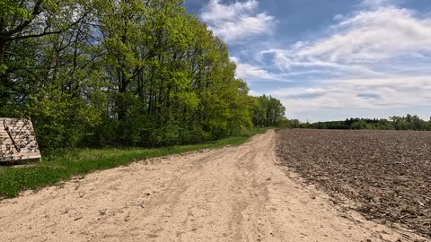 Slow walk on a trail in Ontario Canada. UHD. up to 4K.