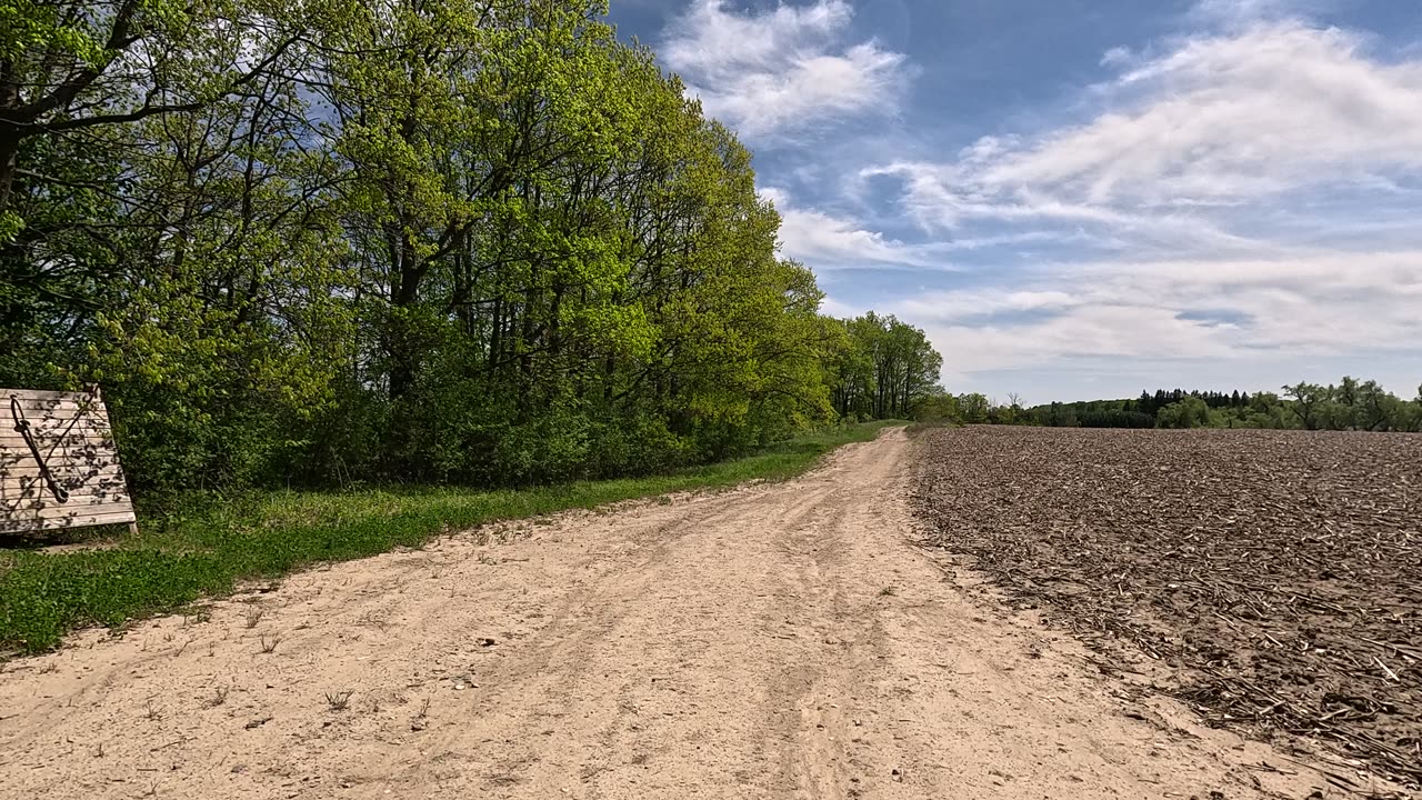 Slow walk on a trail in Ontario Canada. UHD. up to 4K.