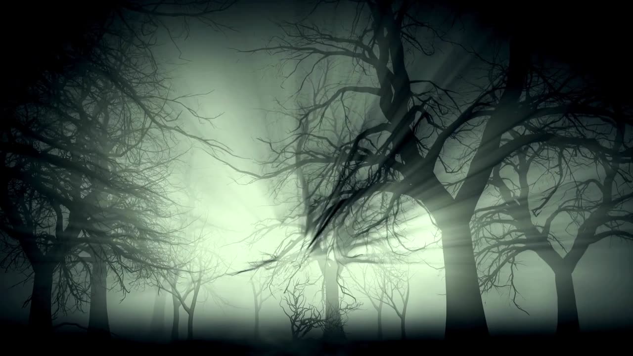 No Signs of Life 2