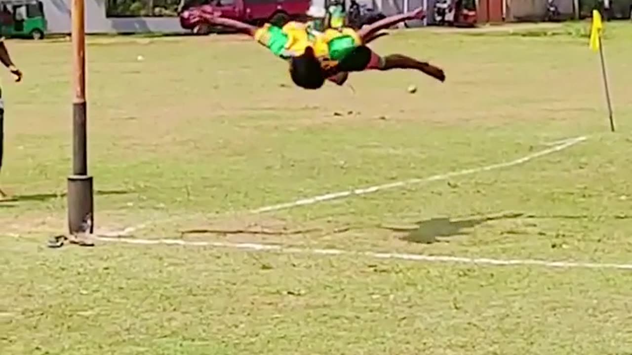 will fly