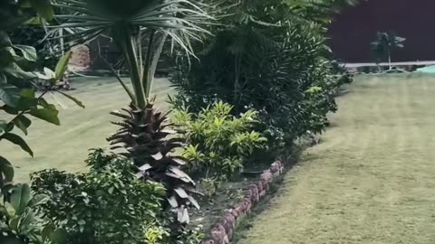Sambara Inn Larkana ❤ #maxrecords #villagelife #larkana #sindh #pakistan