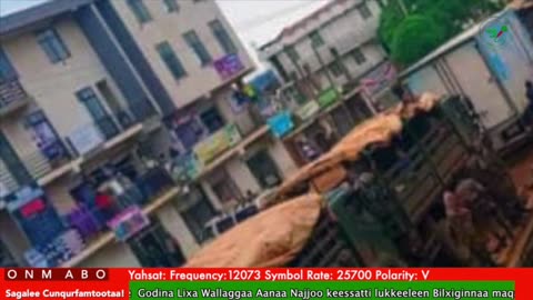 Oduu Waaree ONM-ABO Fulbaana 4-2025 itti dhiyaadhaa!